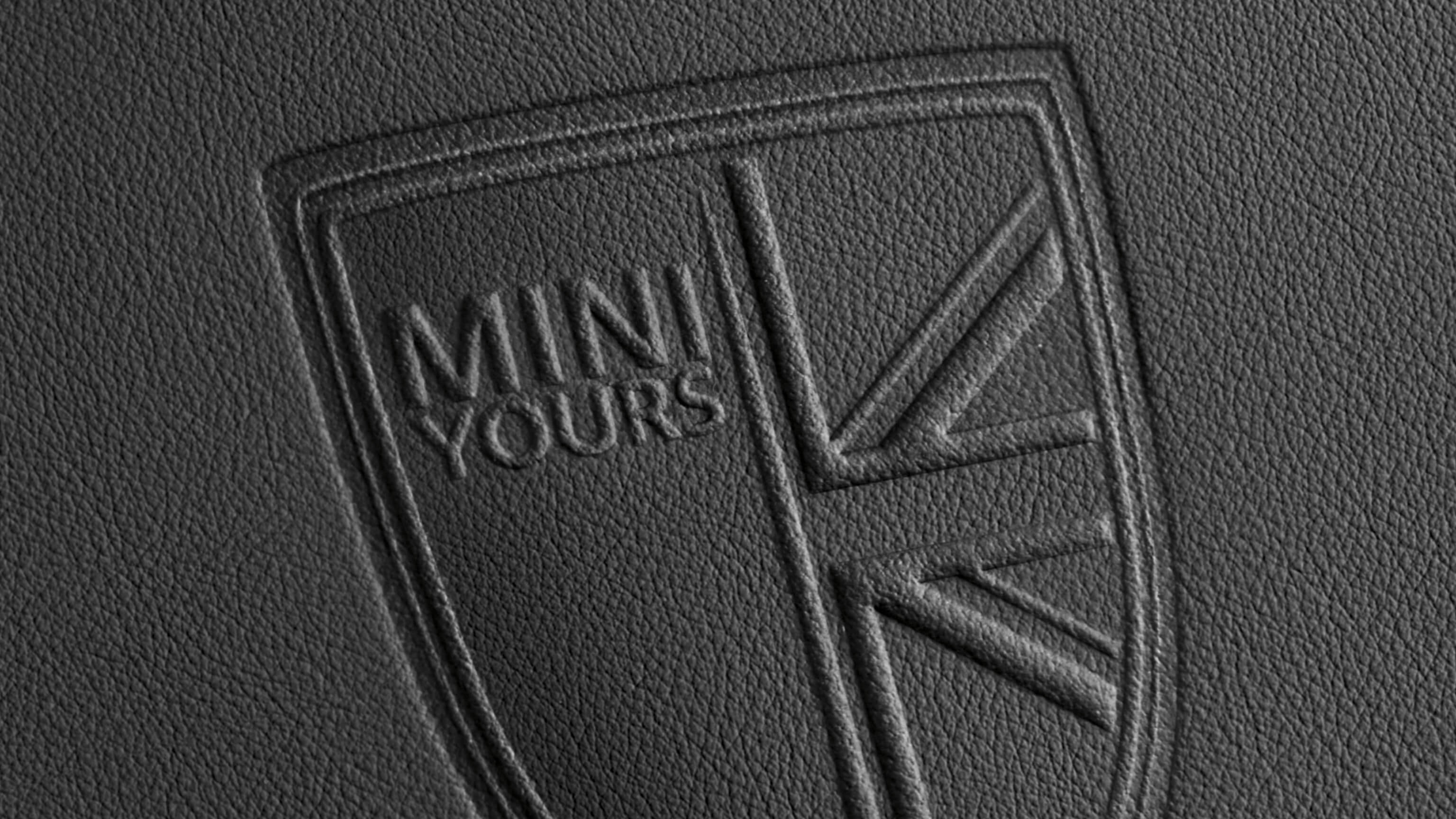 LOGO DE MINI YOURS EN TEXTURA DE PIEL